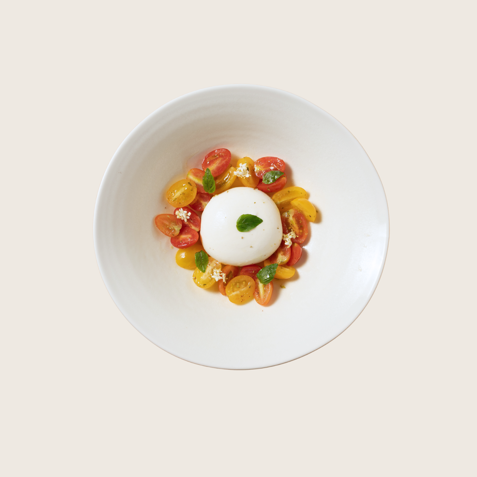 Burrata and Tomato at Otto Italian Eatery, Sukhumvit 38 Bangkok